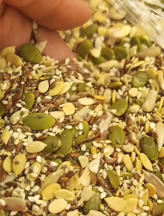 Mix Seeds 6in1 half kg pack